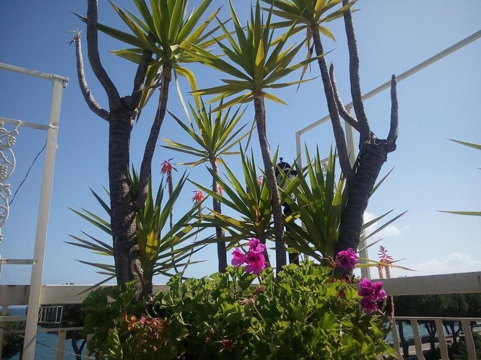 Terrazza Incanto ฟอร์เมีย ภายนอก รูปภาพ